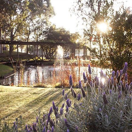 Hunter Valley Resort, Hunter Farm Adventure Centre & 4 Pines At The Farm Pokolbin Bagian luar foto