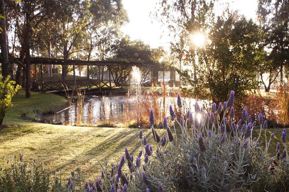 Hunter Valley Resort, Hunter Farm Adventure Centre & 4 Pines At The Farm Pokolbin Bagian luar foto