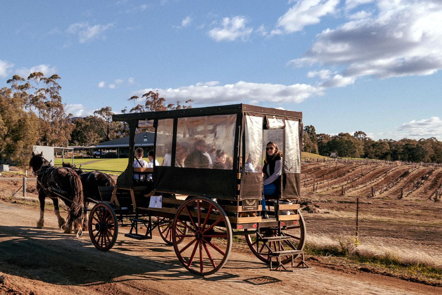 Hunter Valley Resort, Hunter Farm Adventure Centre & 4 Pines At The Farm Pokolbin Bagian luar foto