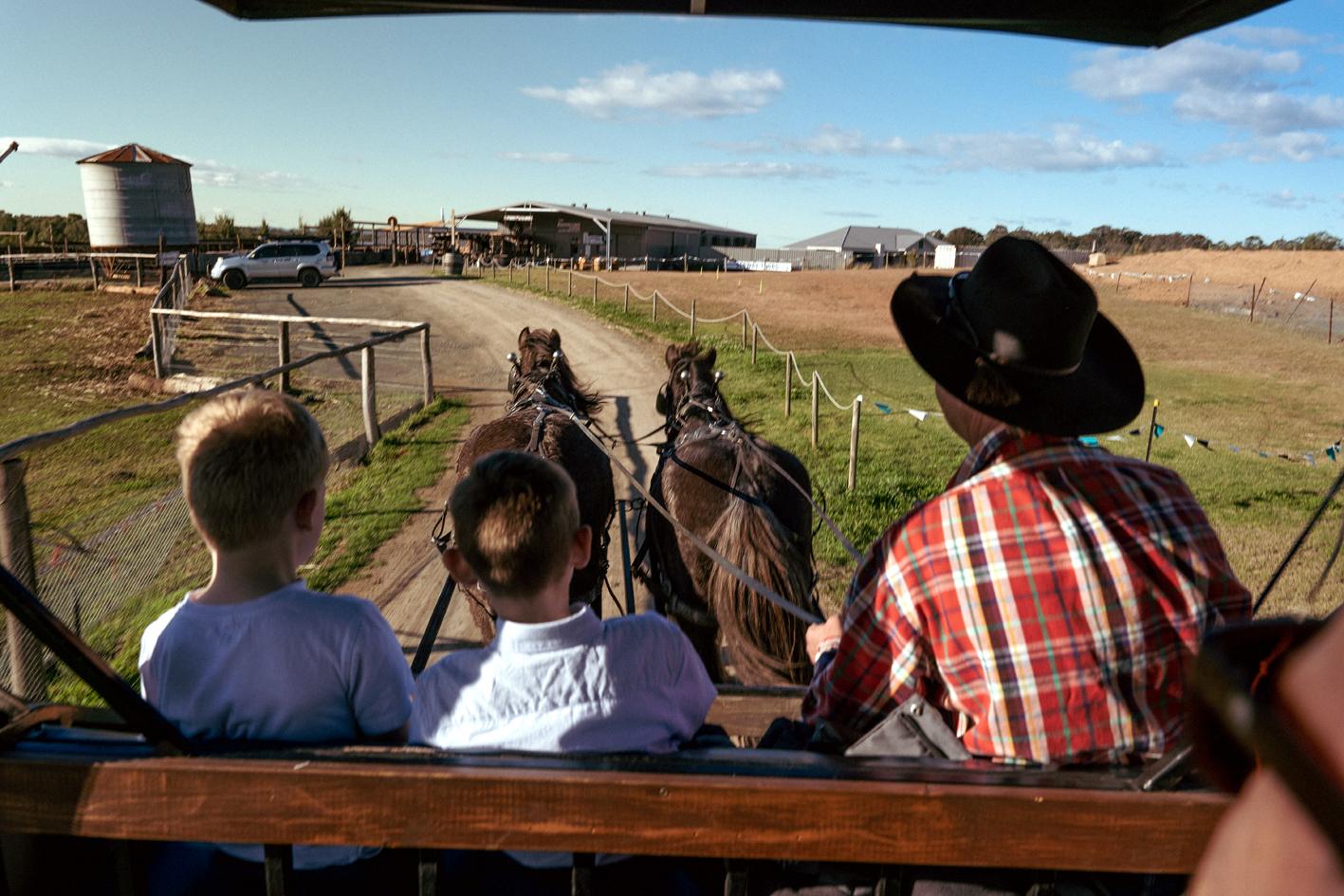 Hunter Valley Resort, Hunter Farm Adventure Centre & 4 Pines At The Farm Pokolbin Bagian luar foto