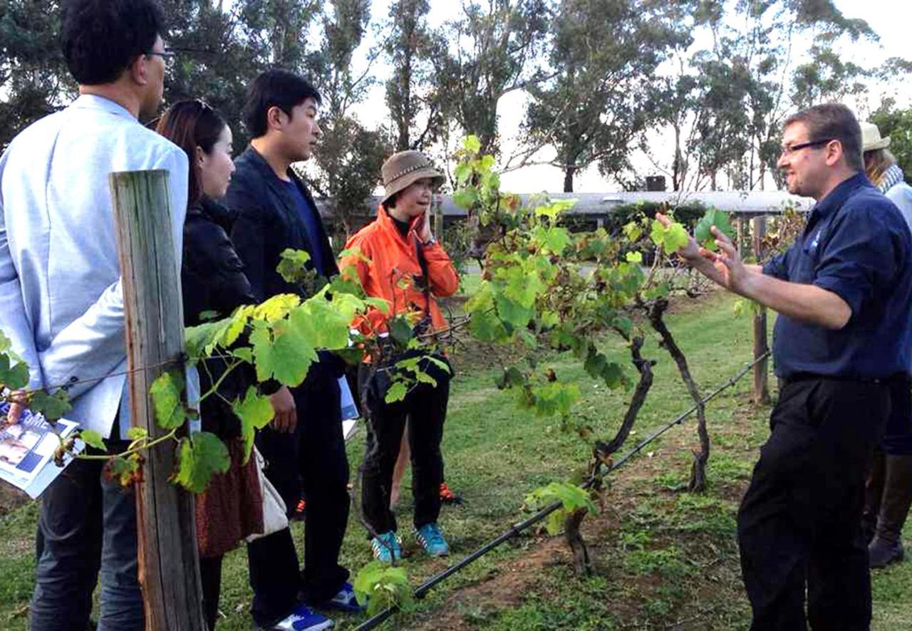 Hunter Valley Resort, Hunter Farm Adventure Centre & 4 Pines At The Farm Pokolbin Bagian luar foto